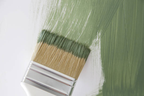 Reliable Webberville, MI Mold Removal Solutions