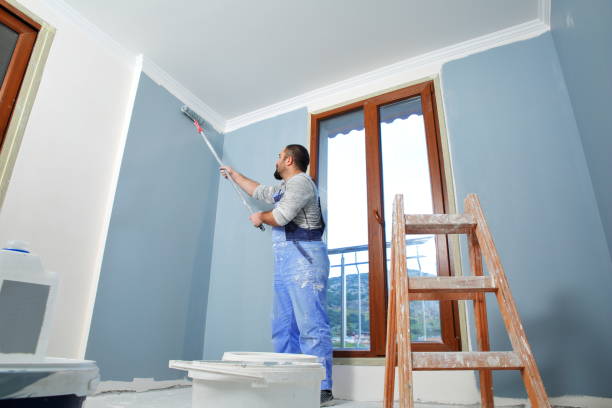 Best Mold Odor Removal Services  in Webberville, MI