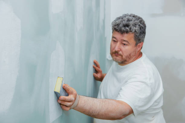 Best HVAC Mold Inspection and Cleaning  in Webberville, MI
