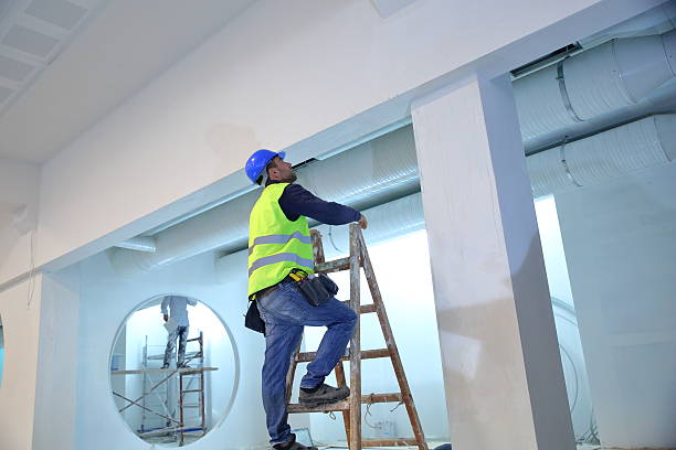 Best Commercial Mold Inspection  in Webberville, MI