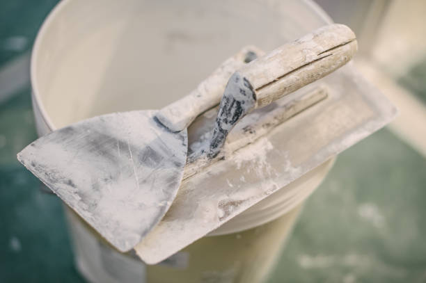 Mold Remediation for Rental Properties in Webberville, MI