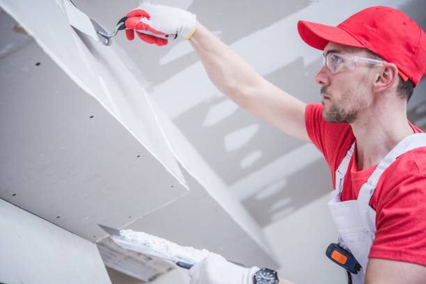 Best Mold Removal for HVAC Installations  in Webberville, MI